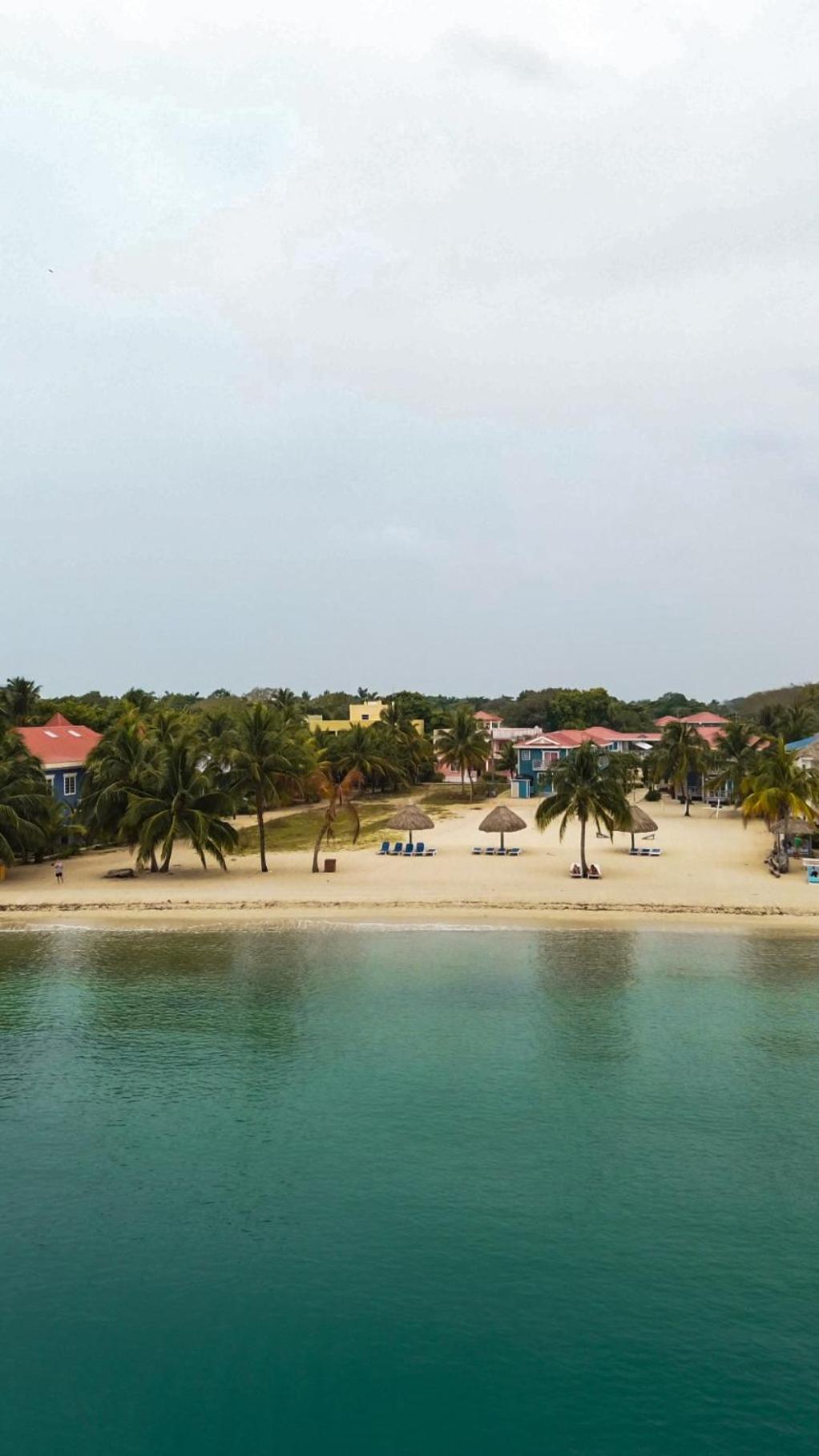 Anda Di Hows Hostel Placencia Dış mekan fotoğraf