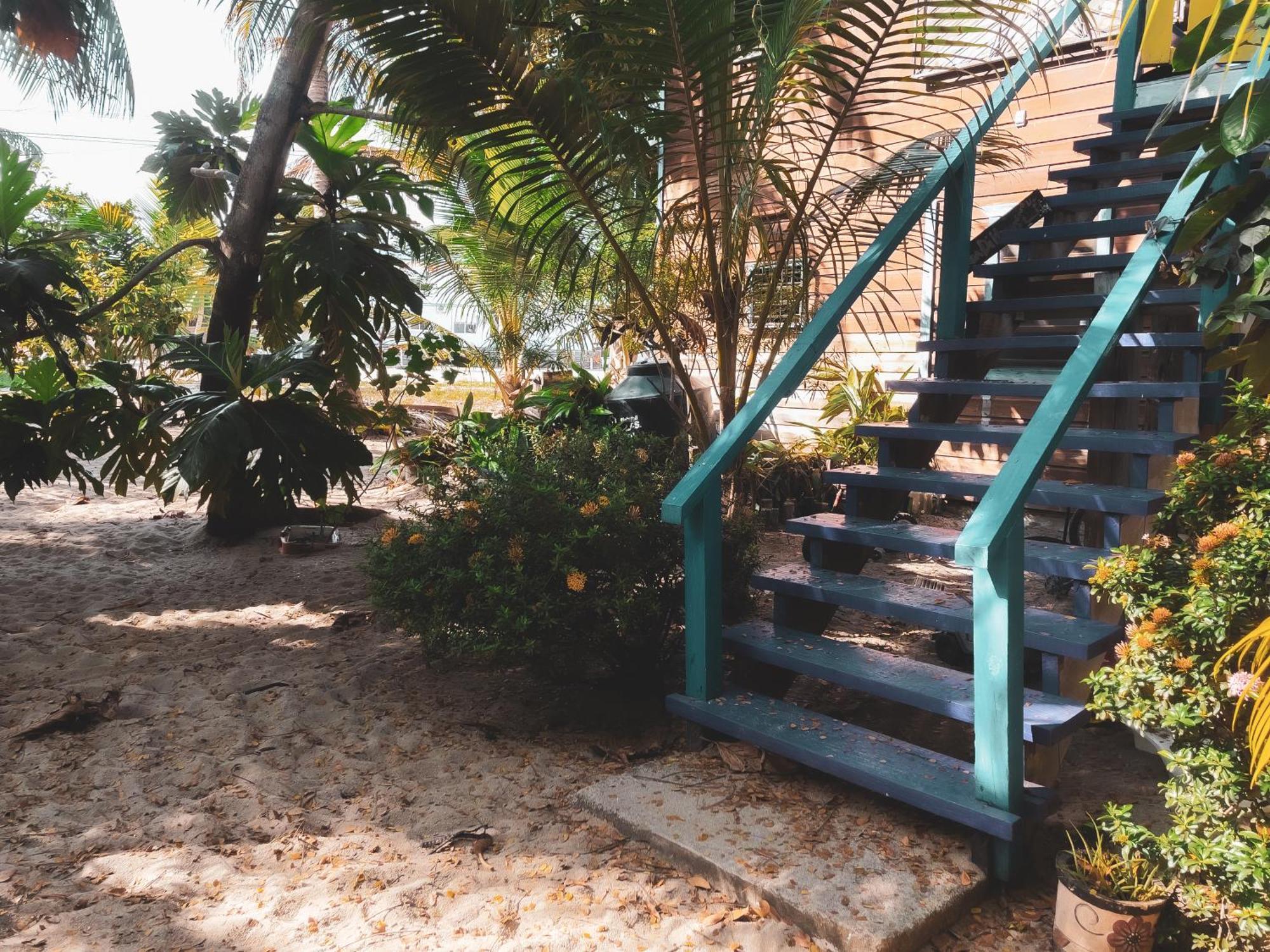 Anda Di Hows Hostel Placencia Dış mekan fotoğraf