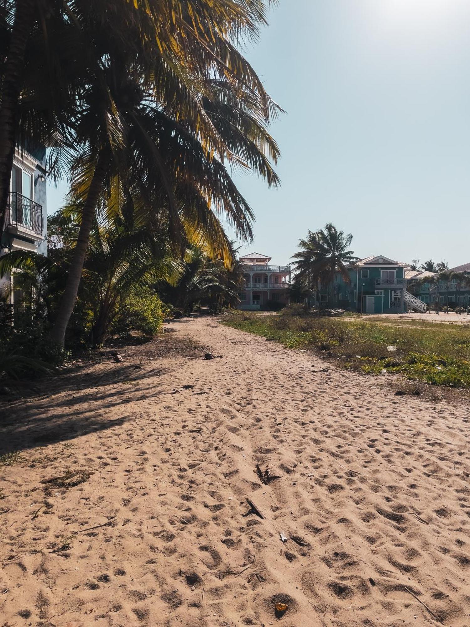 Anda Di Hows Hostel Placencia Dış mekan fotoğraf