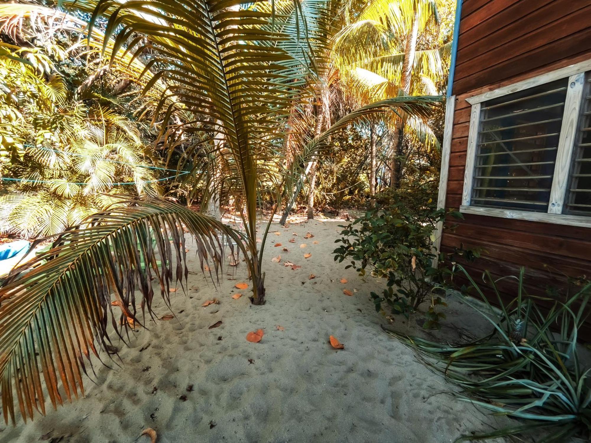 Anda Di Hows Hostel Placencia Dış mekan fotoğraf