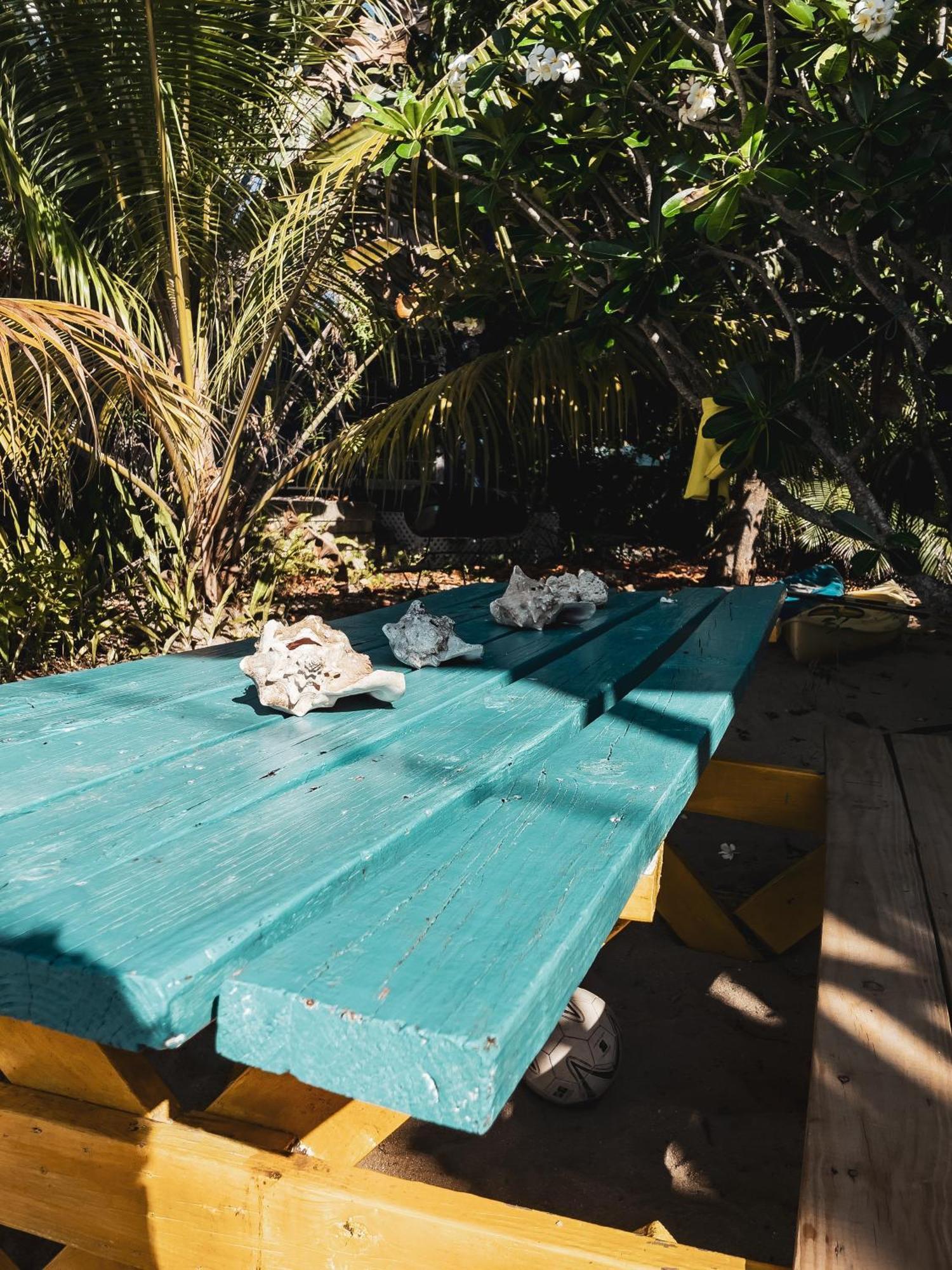Anda Di Hows Hostel Placencia Dış mekan fotoğraf