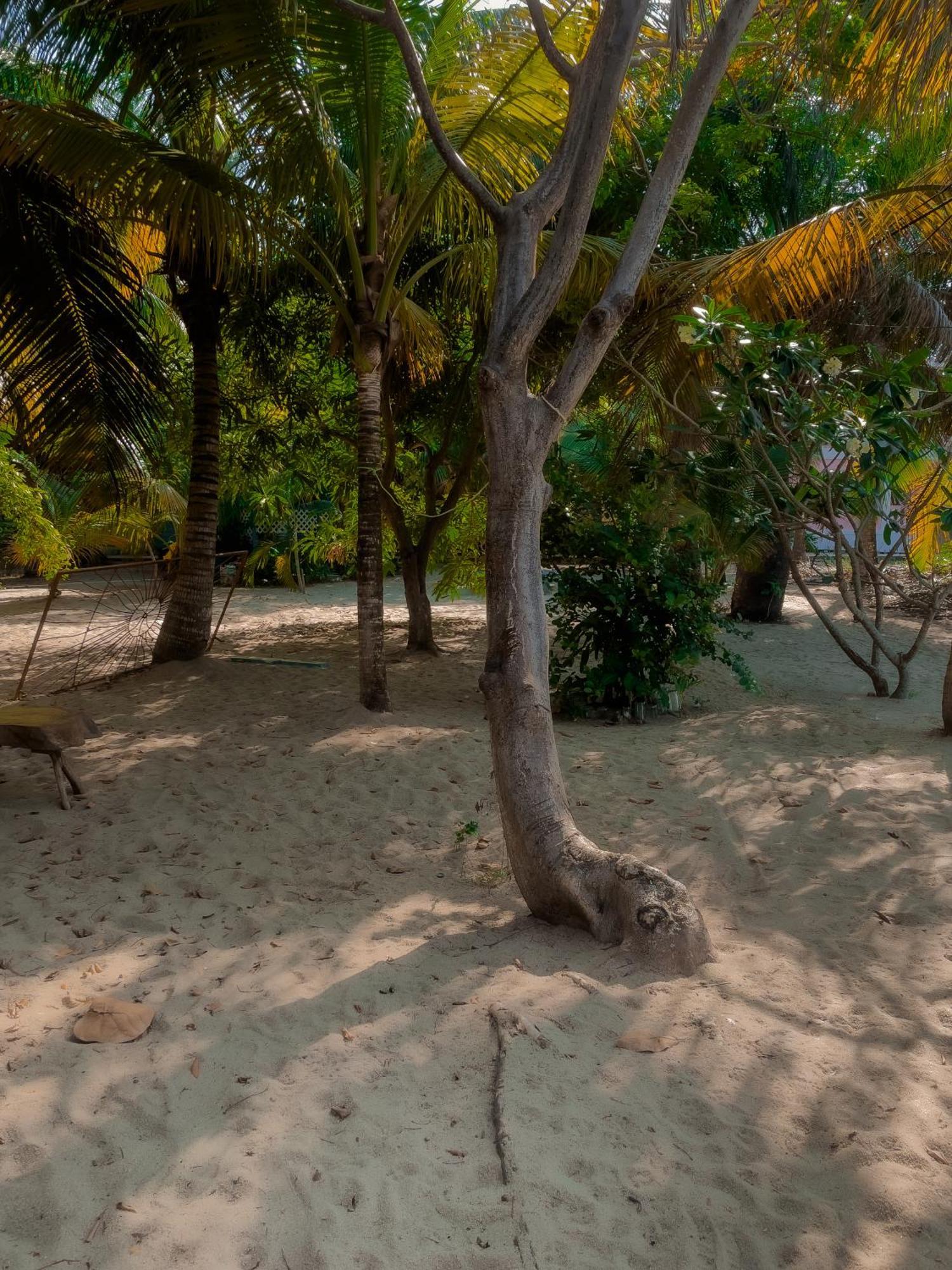 Anda Di Hows Hostel Placencia Dış mekan fotoğraf