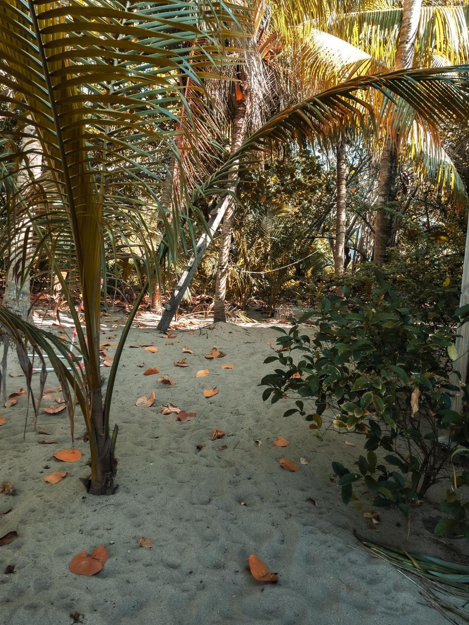 Anda Di Hows Hostel Placencia Dış mekan fotoğraf