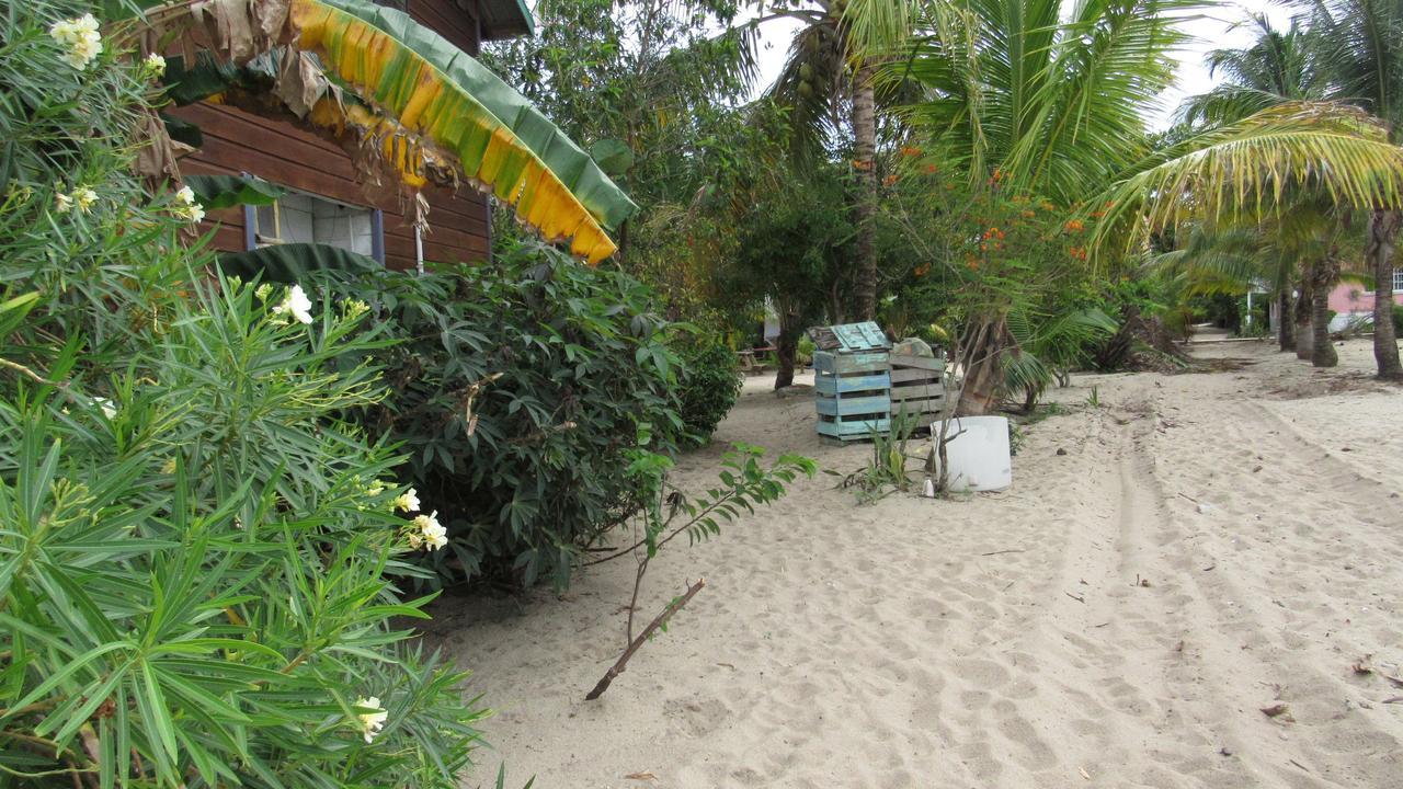 Anda Di Hows Hostel Placencia Dış mekan fotoğraf