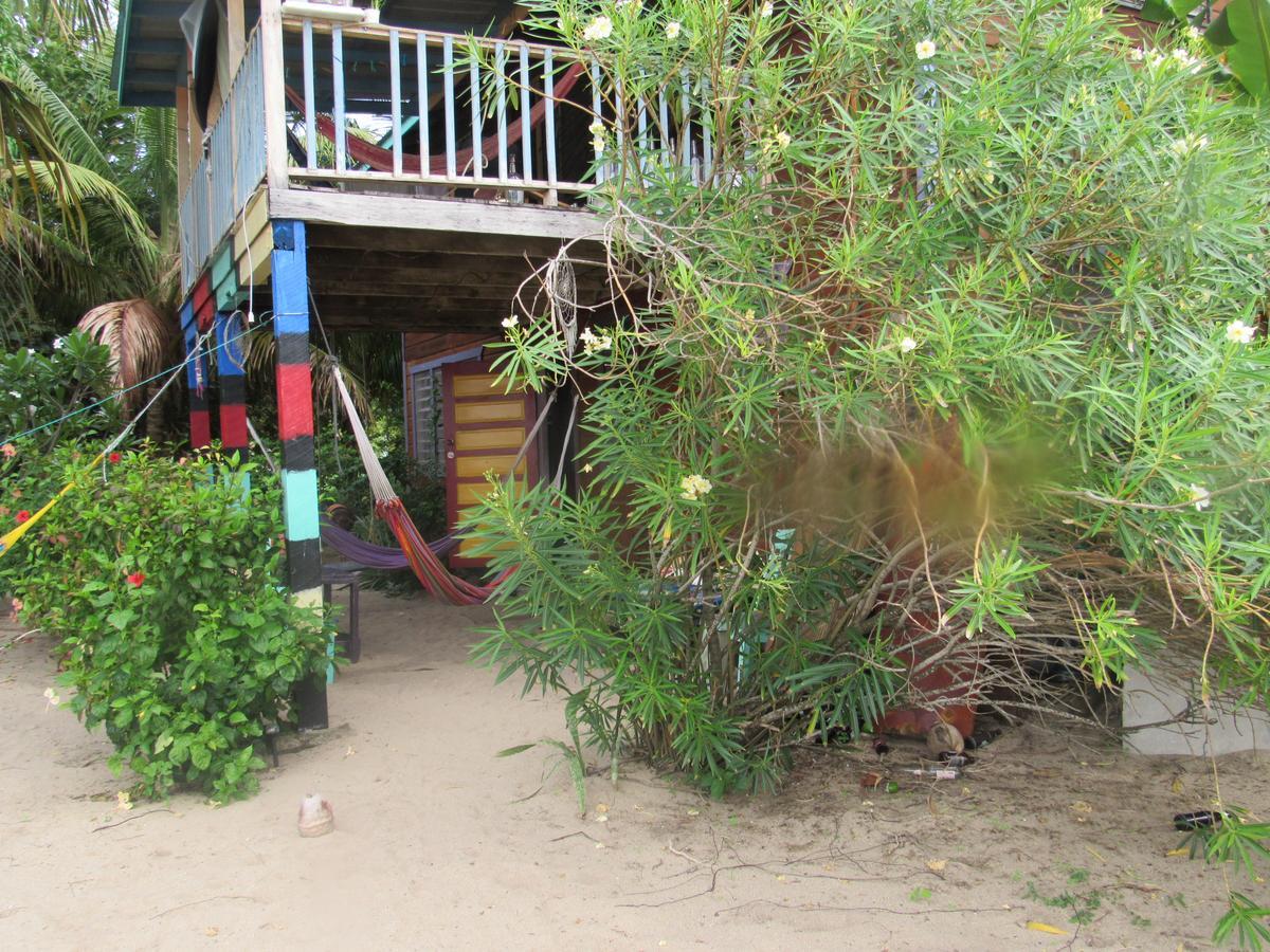Anda Di Hows Hostel Placencia Dış mekan fotoğraf